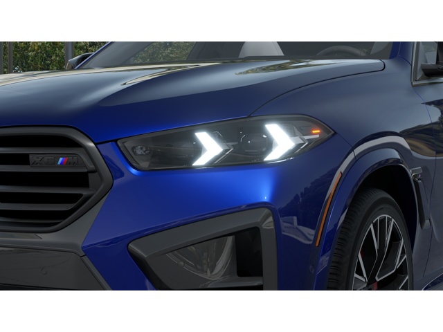 2026 Bmw X6 photo 4
