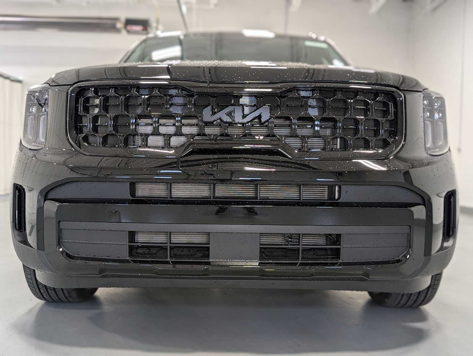 2025 Kia Telluride EX X-Line photo 2