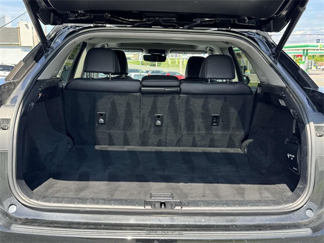 2017 Lexus RX 350 photo 18