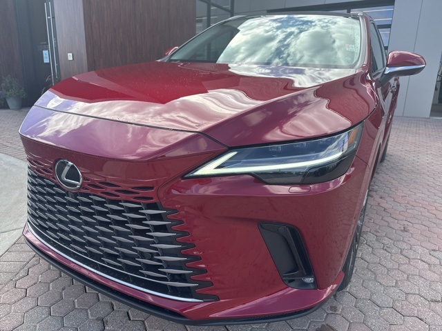 2025 Lexus RX 350 Luxury photo 19