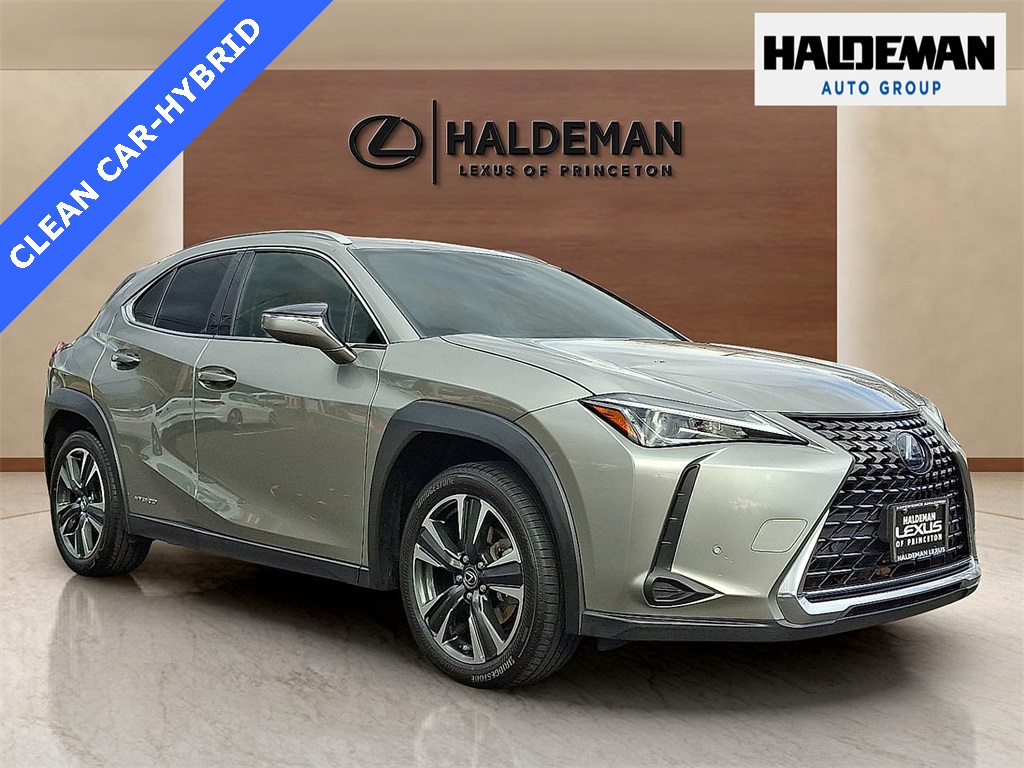 2020 Lexus UX Hybrid 250h's photo