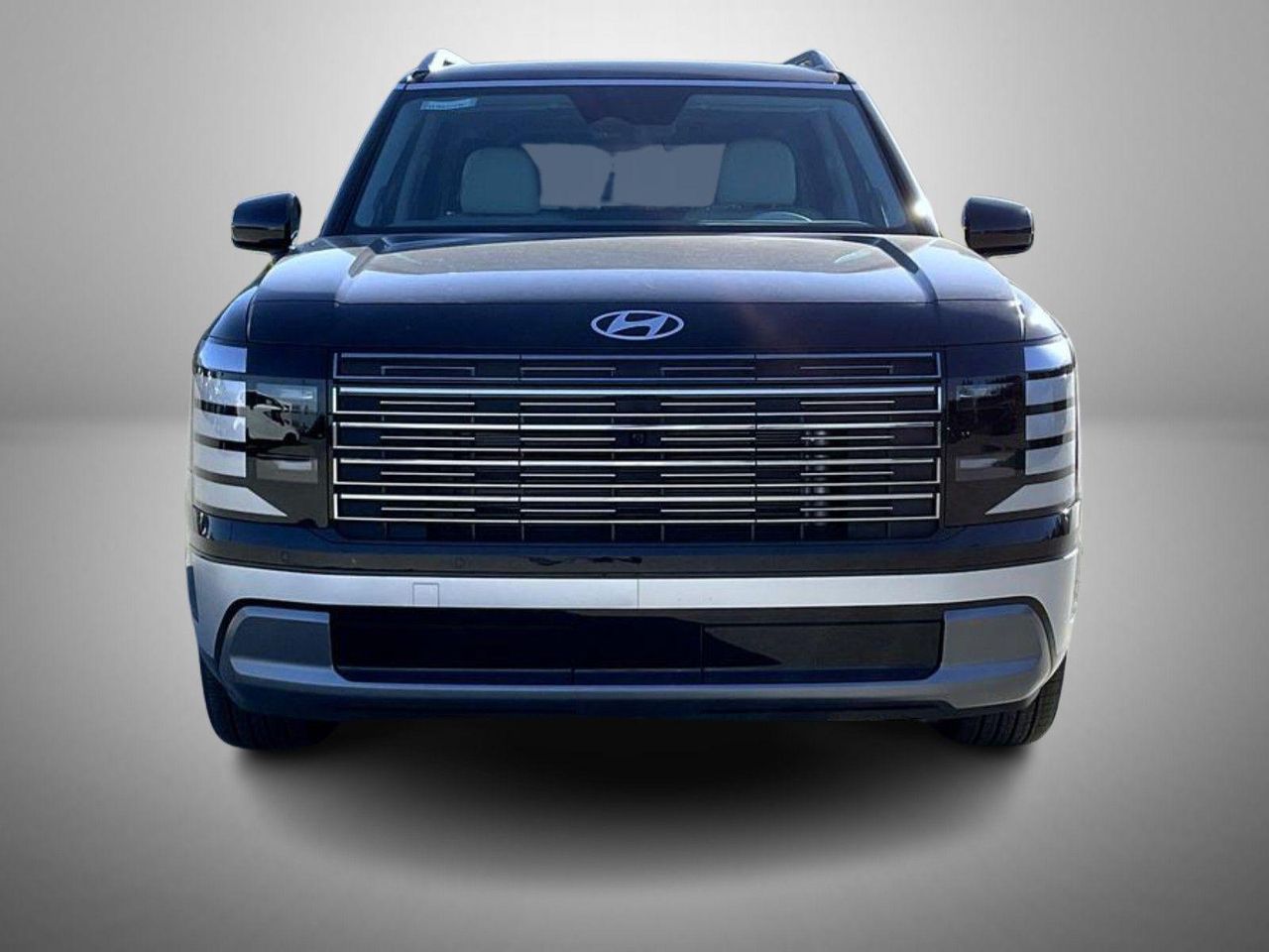 2026 Hyundai Palisade Limited photo 2