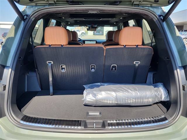 2025 Kia Telluride X-Pro photo 3