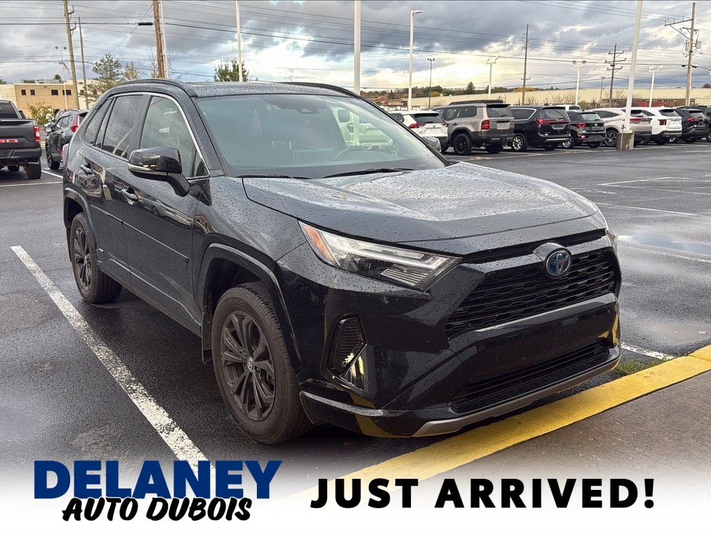 2022 Toyota RAV4 SE's photo