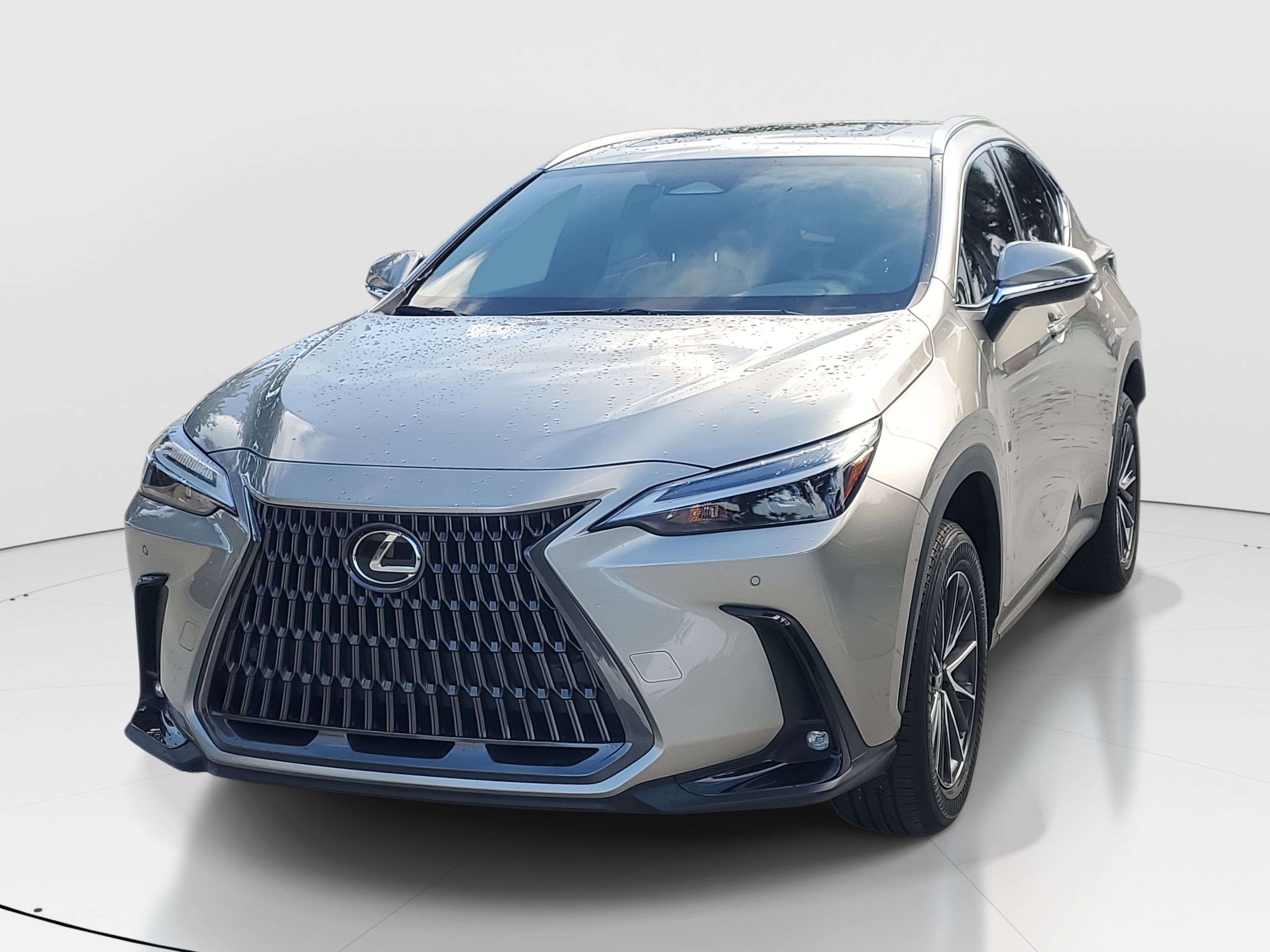 2024 Lexus NX 250 Premium photo 5