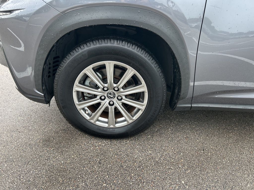 2021 Lexus NX 300 photo 46