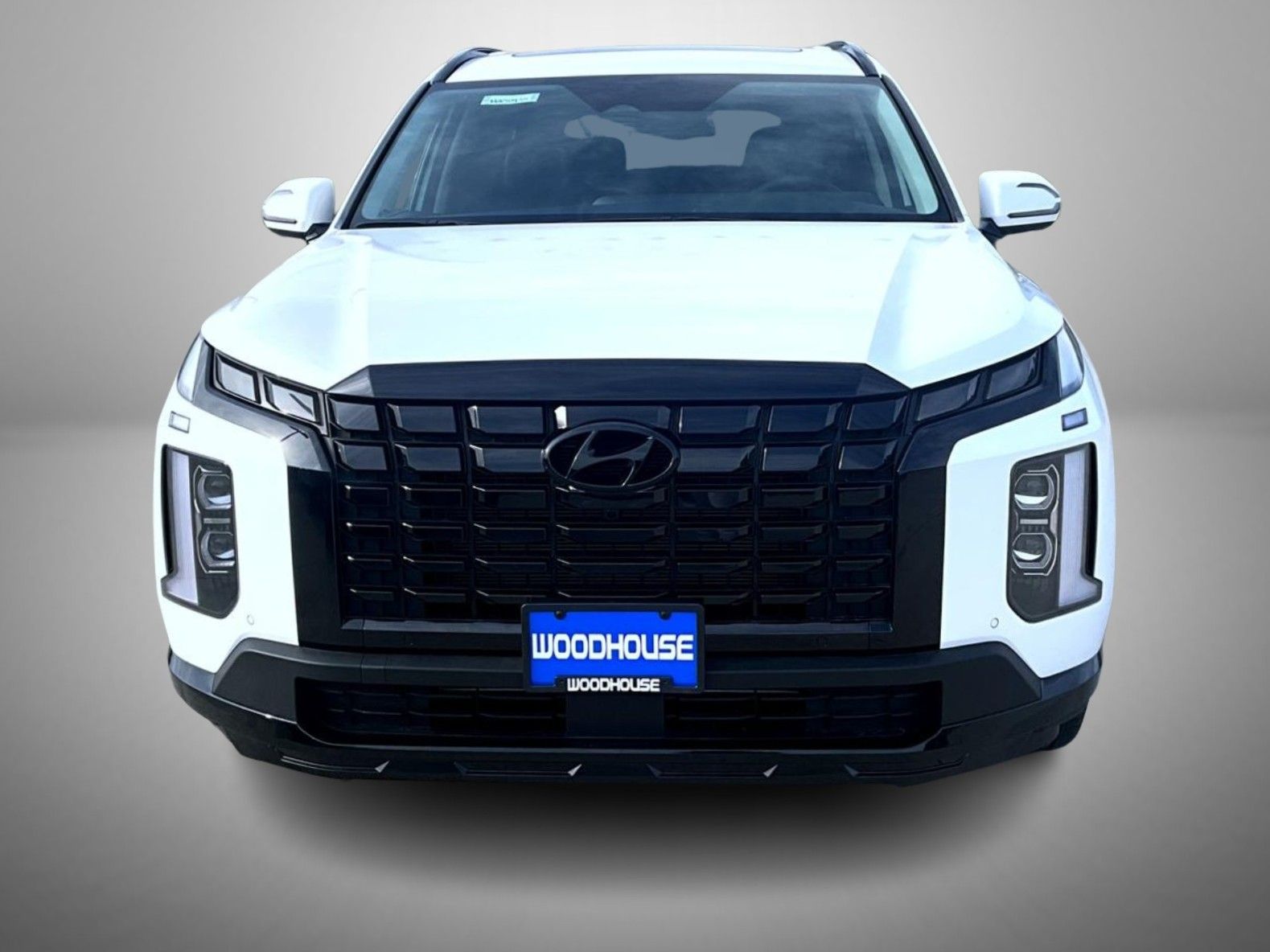 2025 Hyundai Palisade XRT photo 2