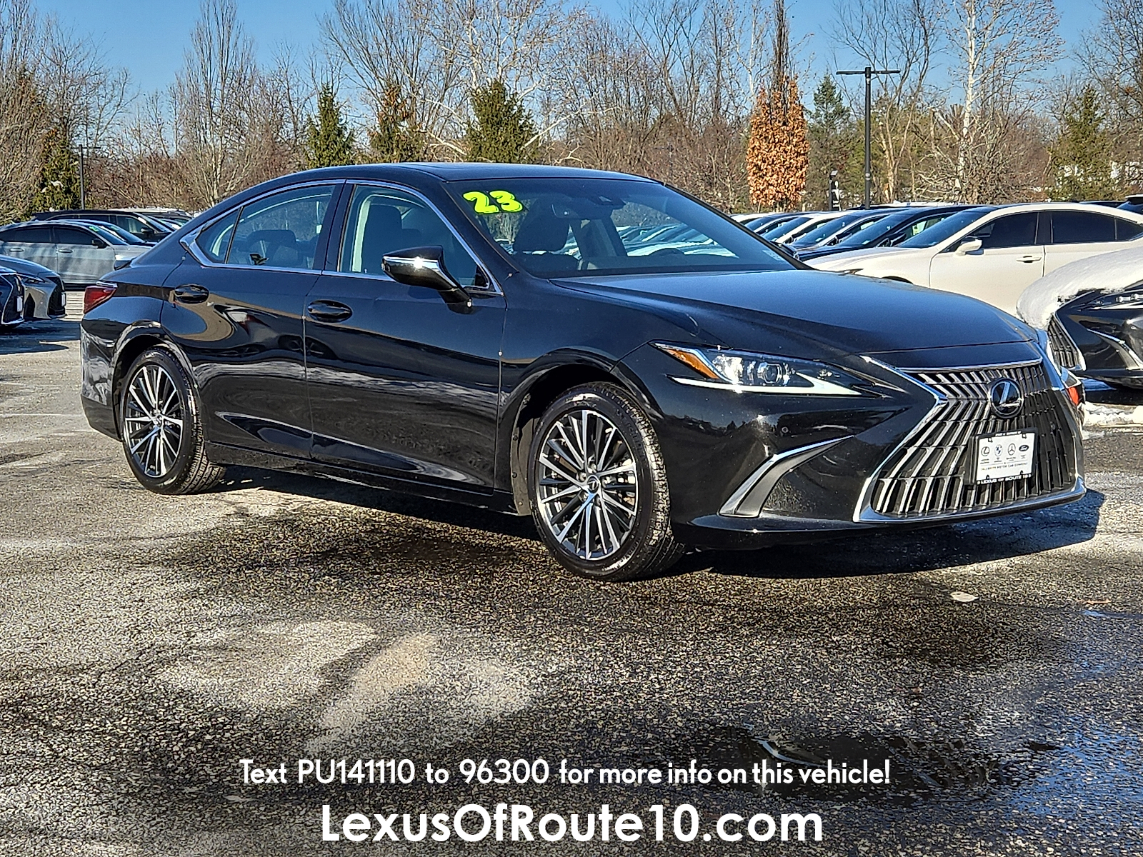 2023 Lexus ES 350's photo