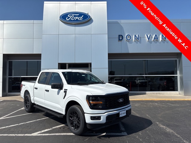 2025 Ford F-150 STX's photo