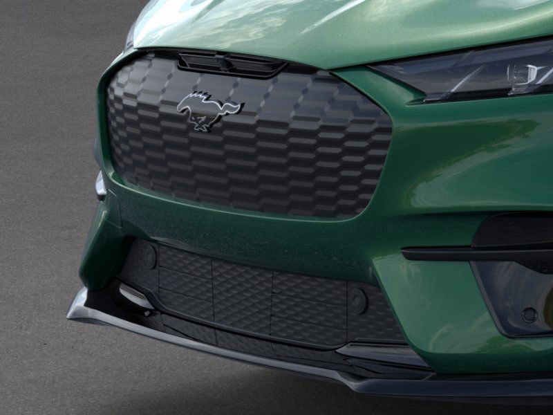 2025 Ford Mustang Mach-E GT photo 14