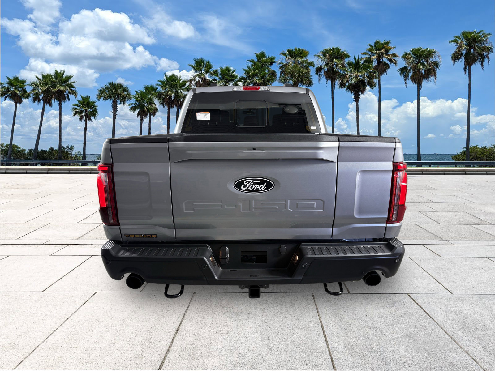 2025 Ford F-150 Tremor photo 8
