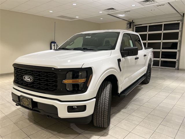 2025 Ford F-150 STX's photo