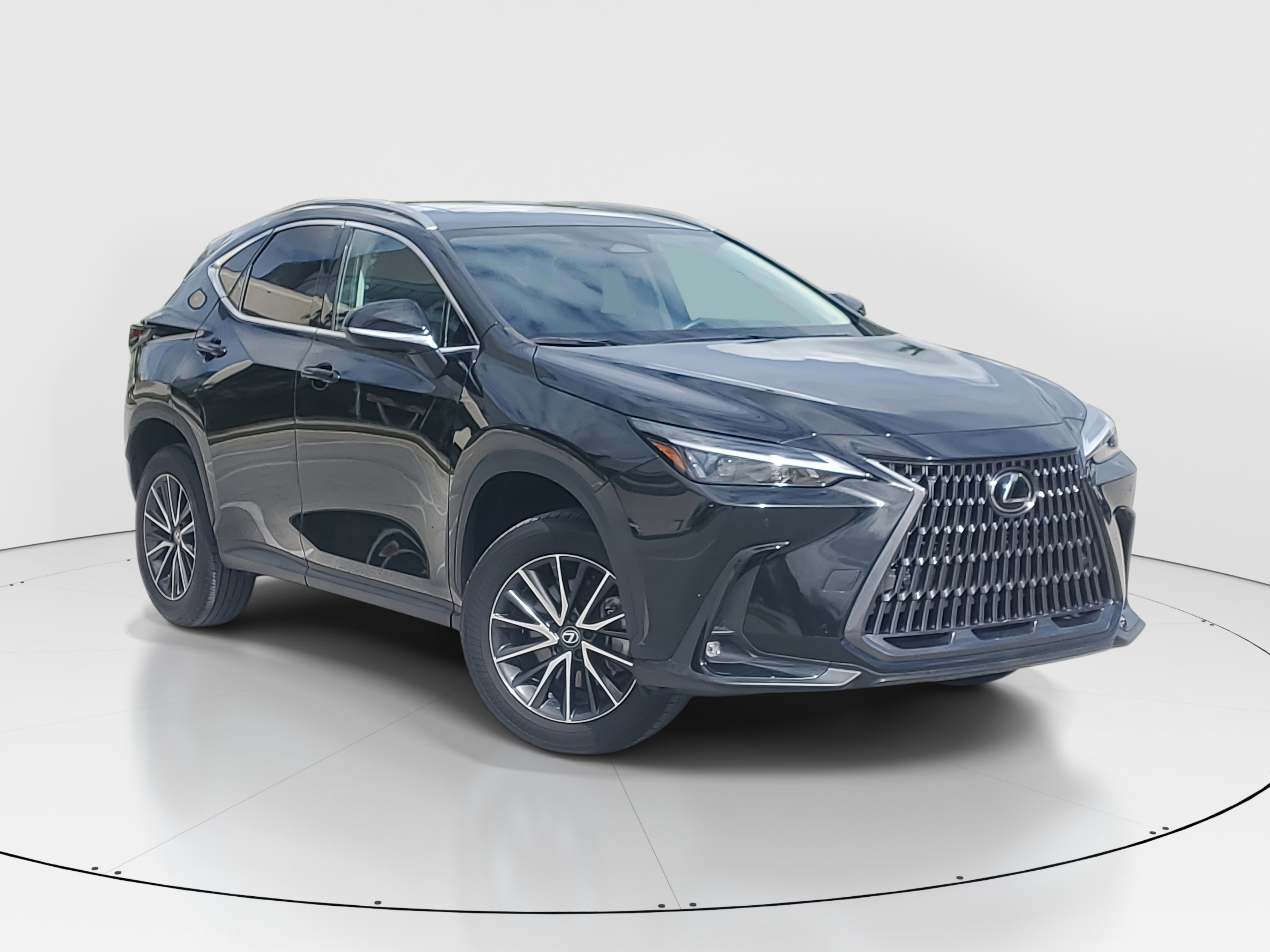 2024 Lexus NX 250 Premium photo 2