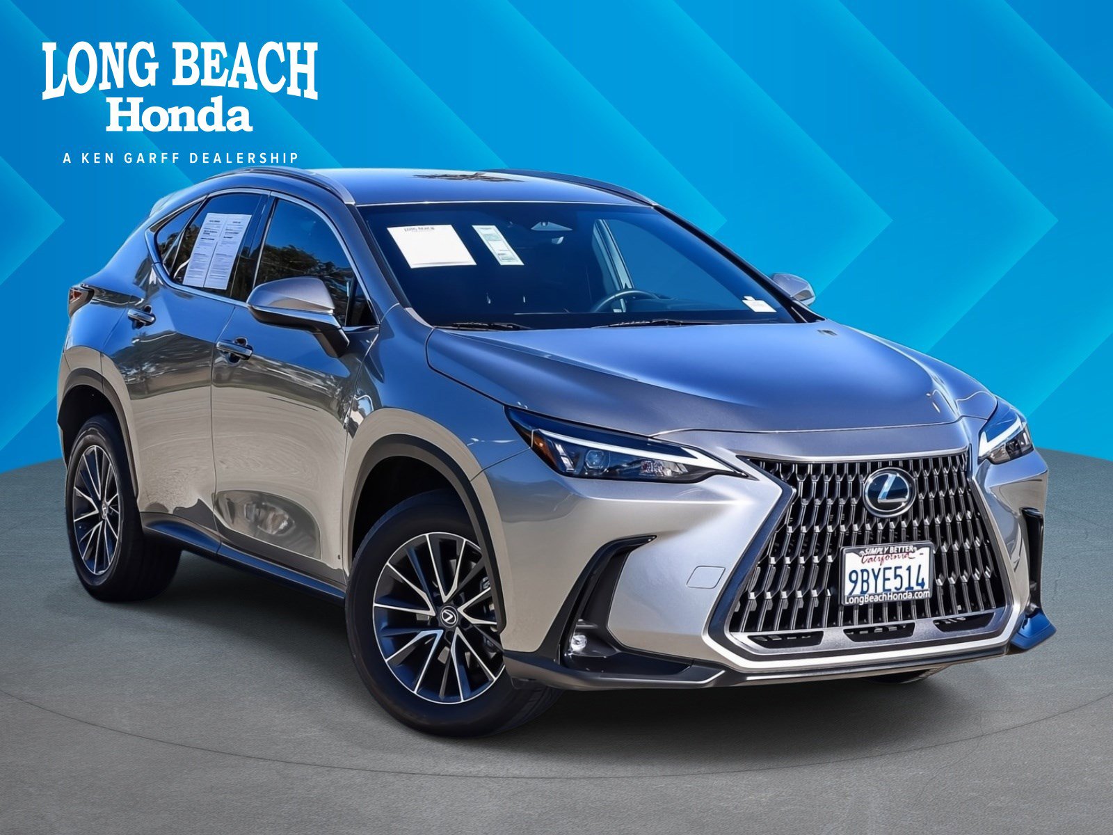 2022 Lexus NX Hybrid 350h's photo