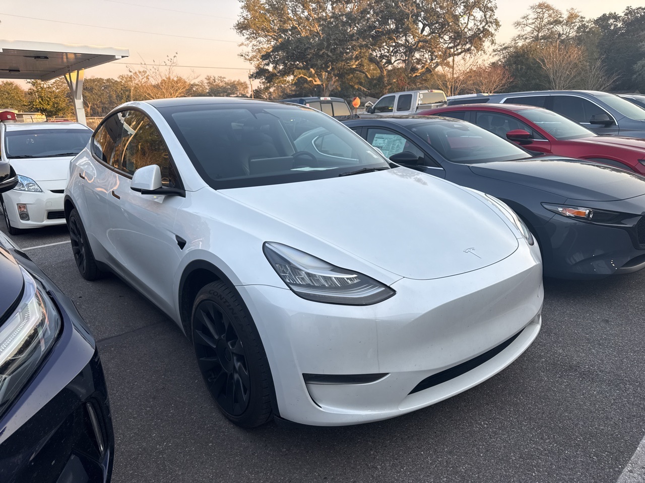 Used 2023 Tesla Model Y Long Range with VIN 7SAYGDEE1PA072265 for sale in Northfield, Minnesota