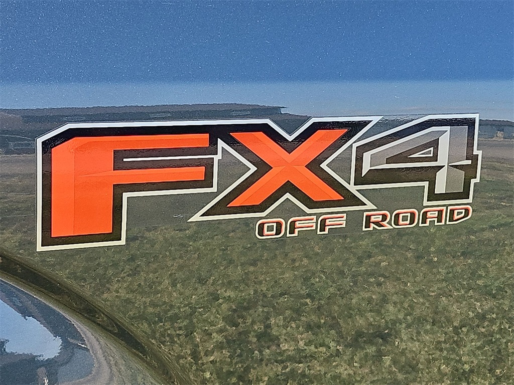 2015 Ford F-150 Platinum photo 17