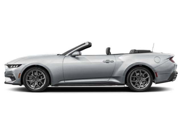 2025 Ford Mustang EcoBoost Premium photo 3