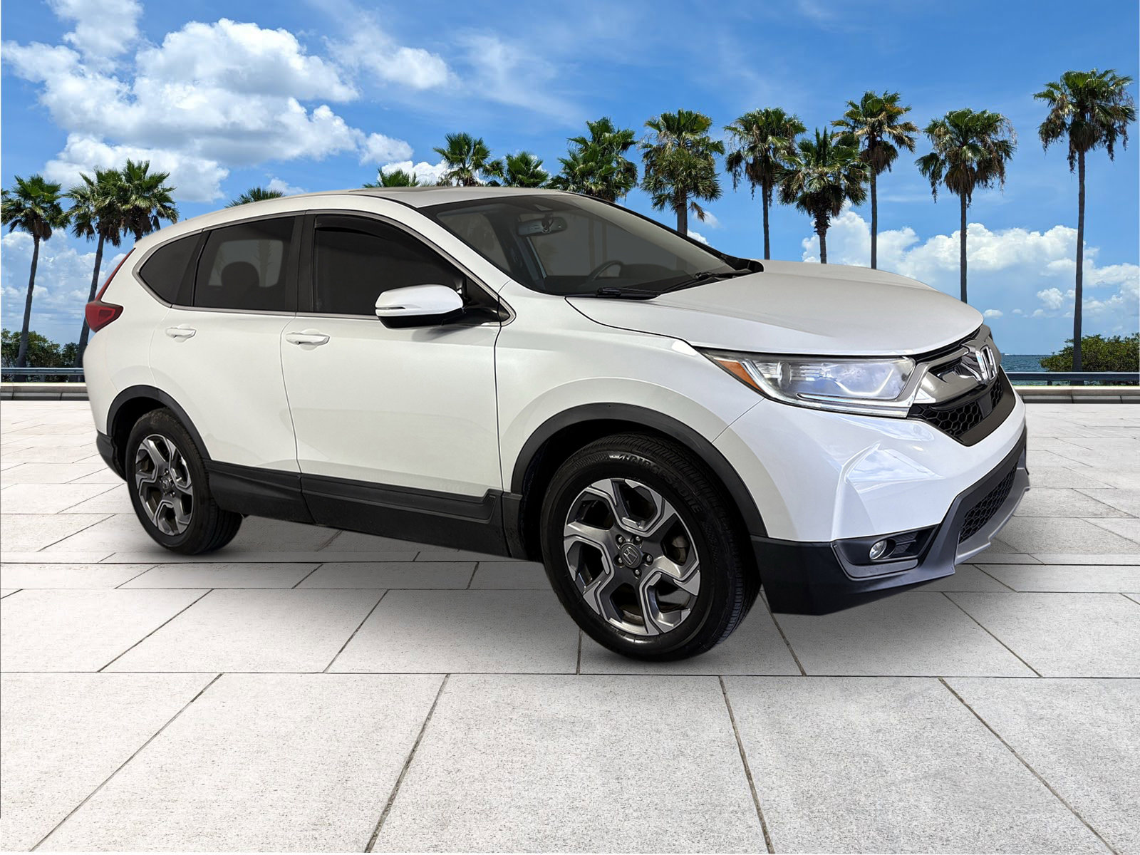 2019 Honda CR-V EX-L photo 2