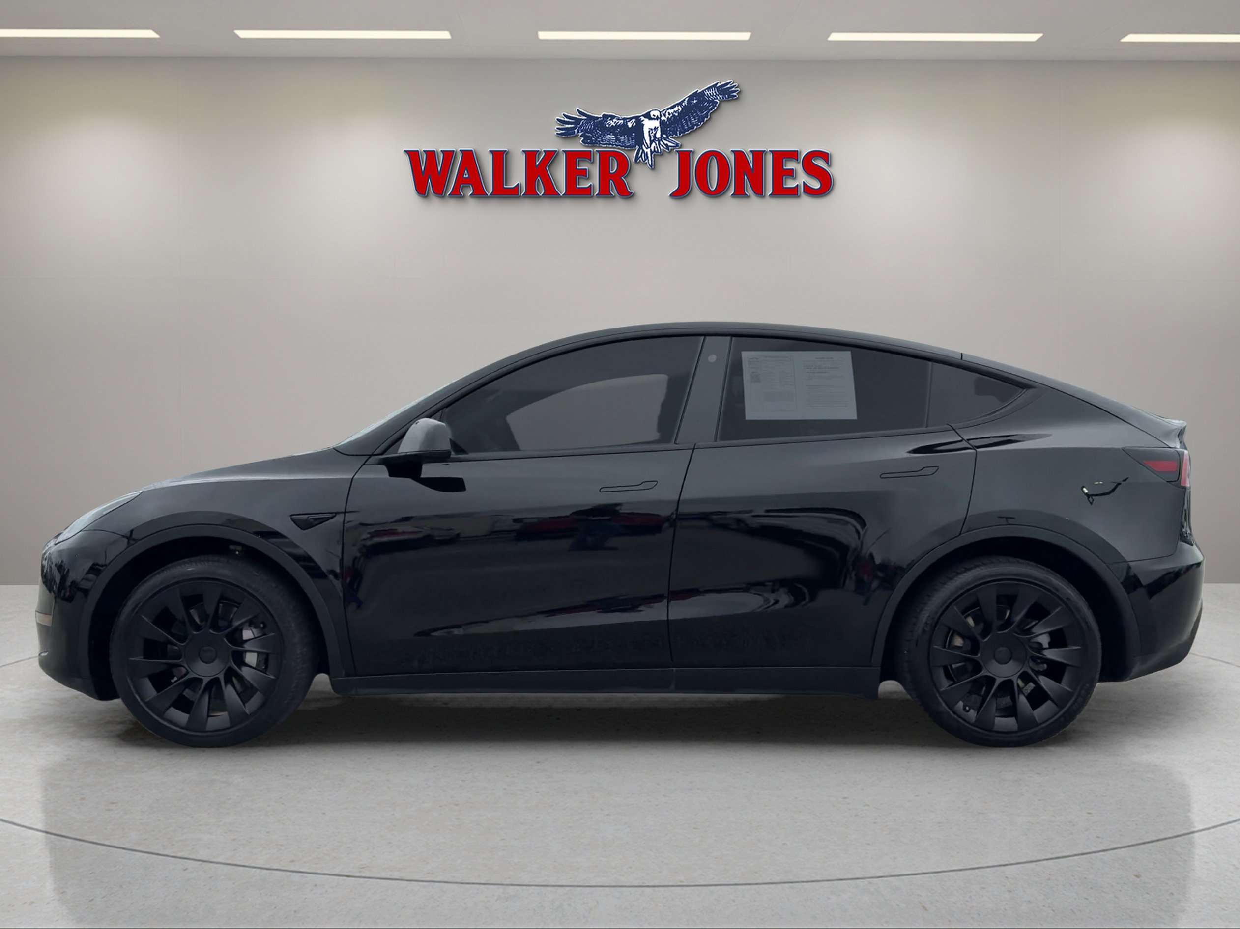 2023 Tesla Model Y photo 6