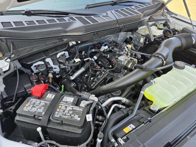 2025 Ford F-150 STX photo 29
