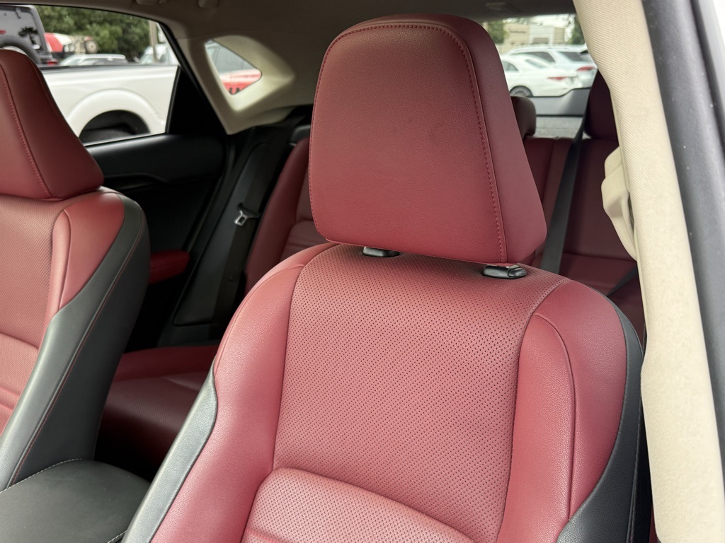 2020 Lexus NX 300 Premium photo 2