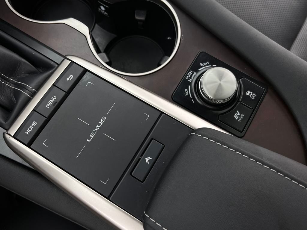 2021 Lexus RX 450h photo 23