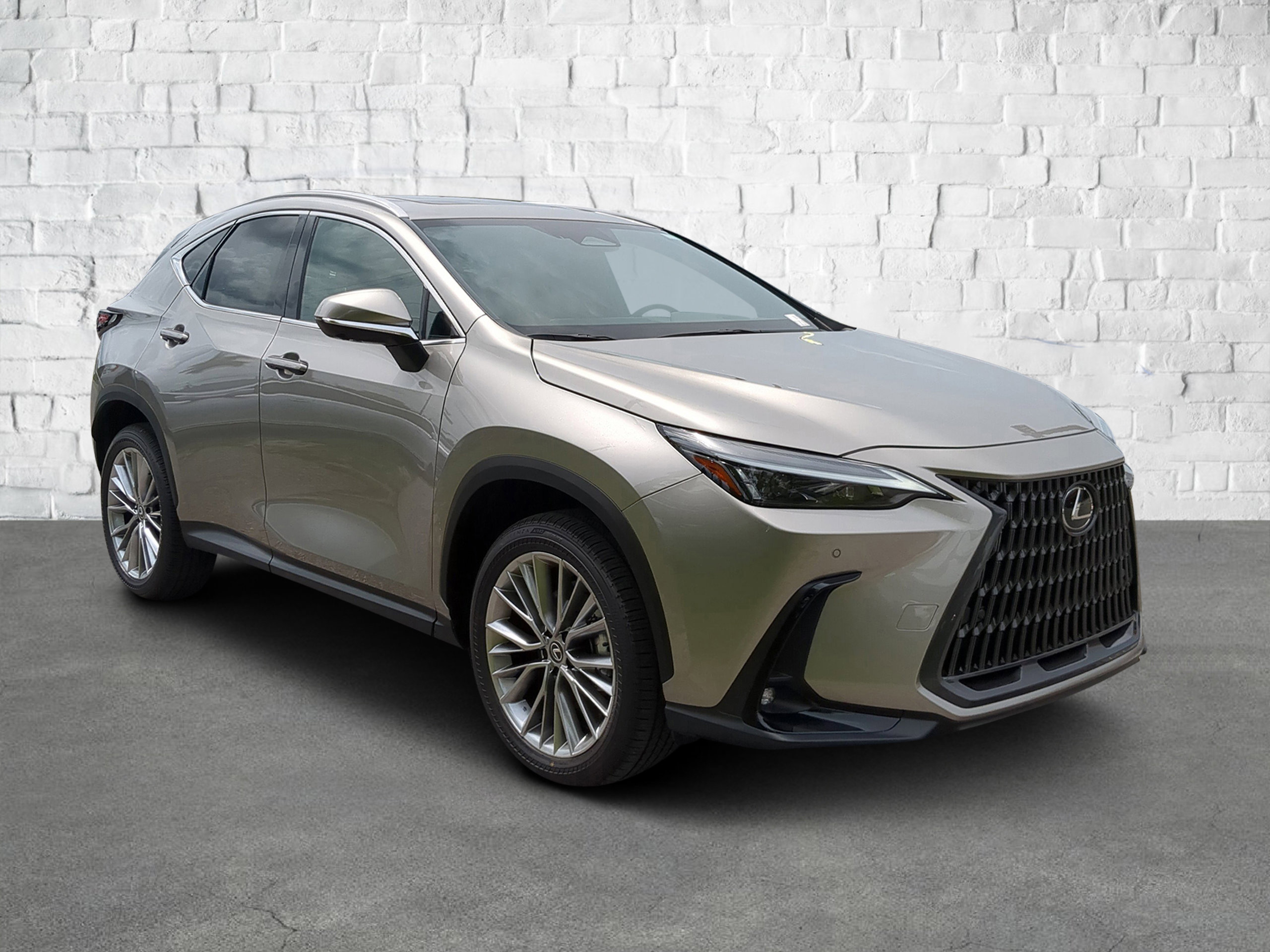 2025 Lexus NX 350's photo