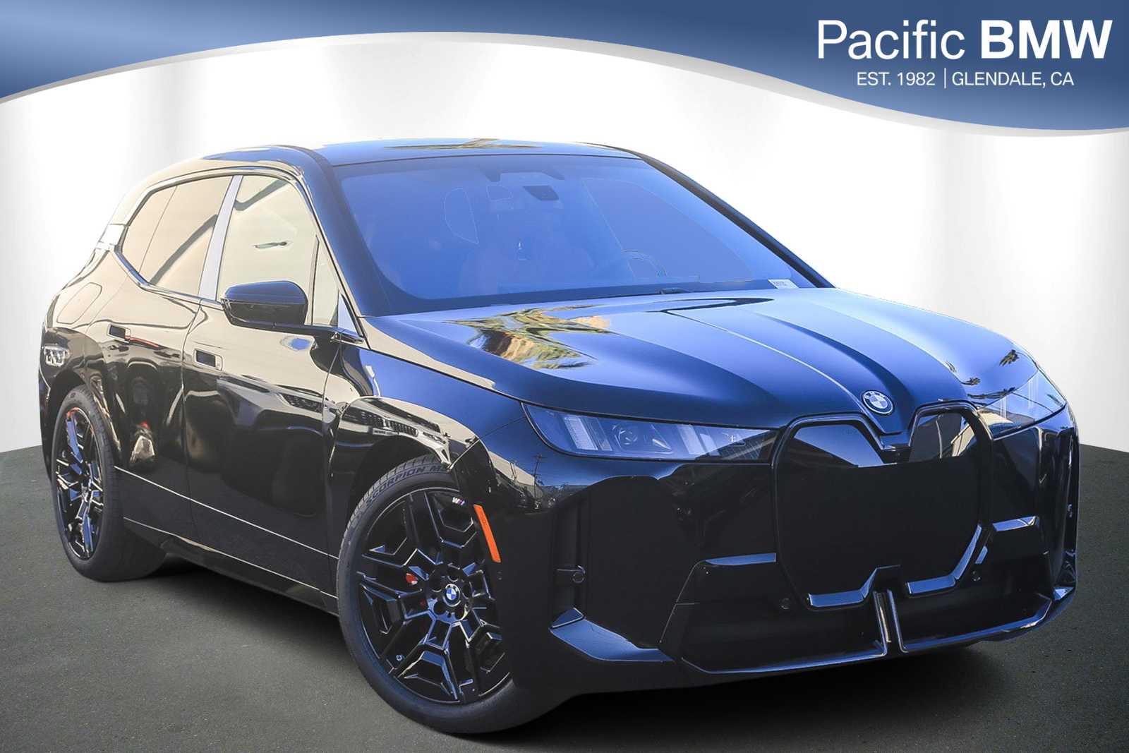 2026 BMW iX 60's photo