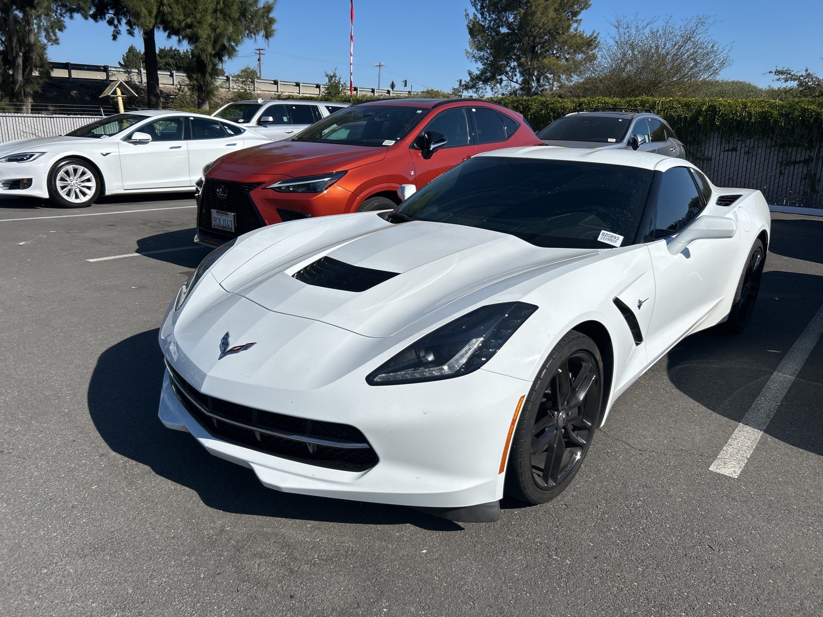 2019 Chevrolet Corvette Stingray 1LT photo 3
