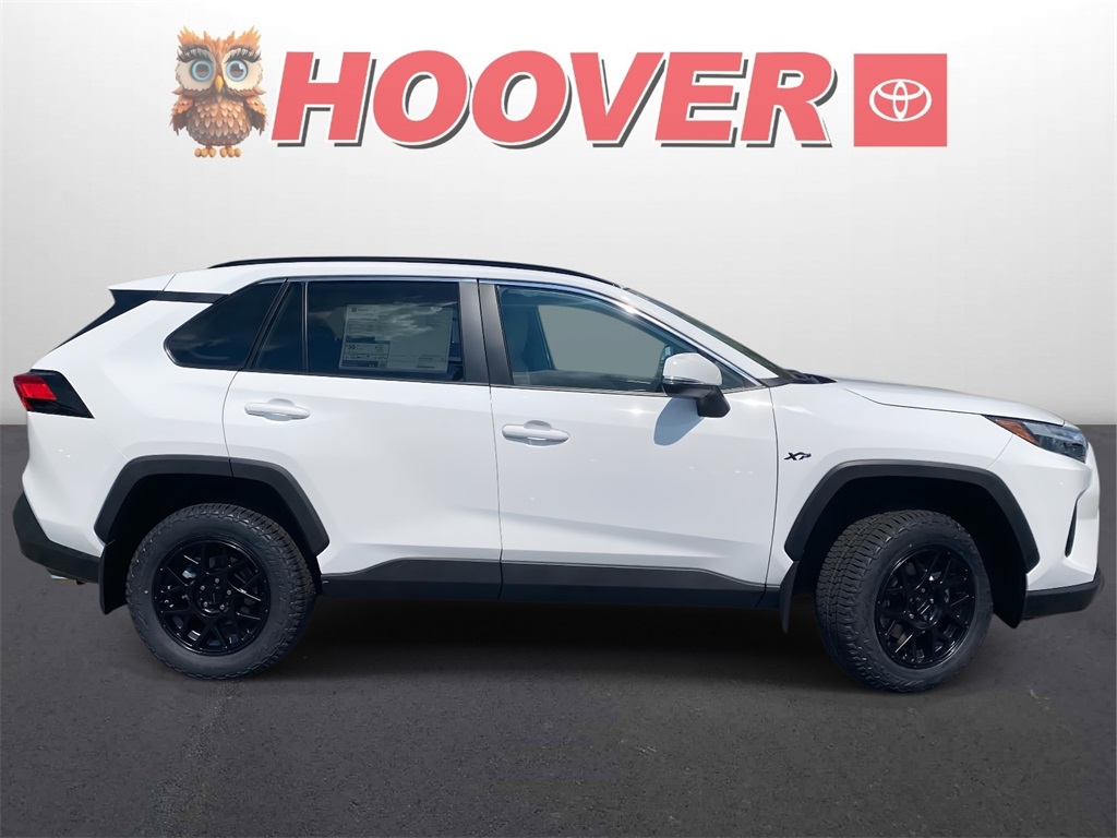 2025 Toyota RAV4 XLE photo 2