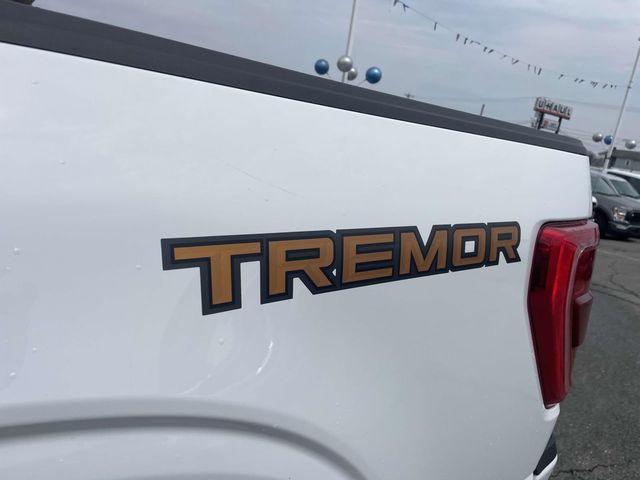 2023 Ford F-150 Tremor photo 13