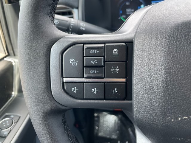 2025 Ford F-150 Lightning photo 22