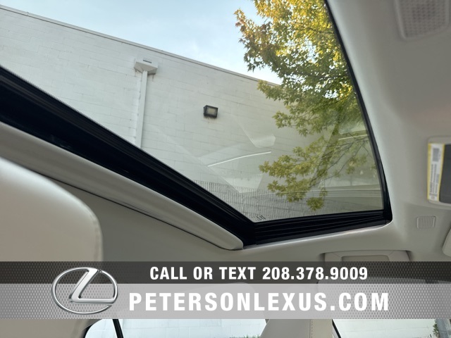 2025 Lexus ES 300h photo 13