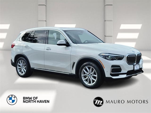 2023 BMW X5 40e's photo