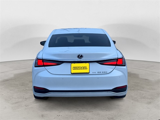 2022 Lexus ES 250 Premium photo 4