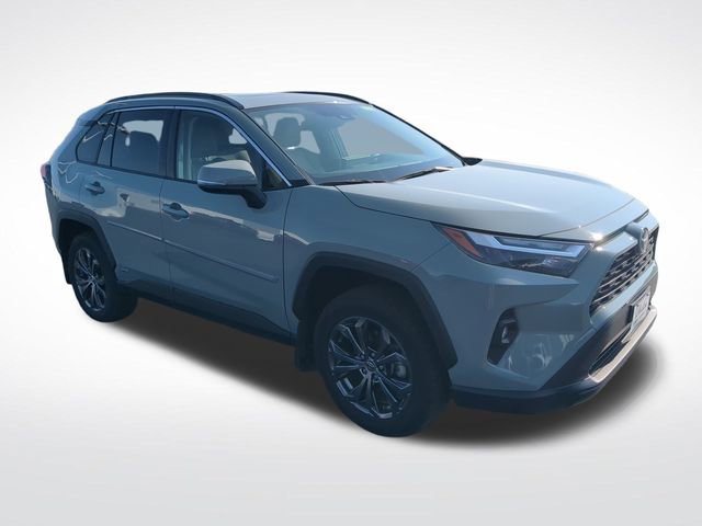 2023 Toyota RAV4 Hybrid XLE Premium photo 6