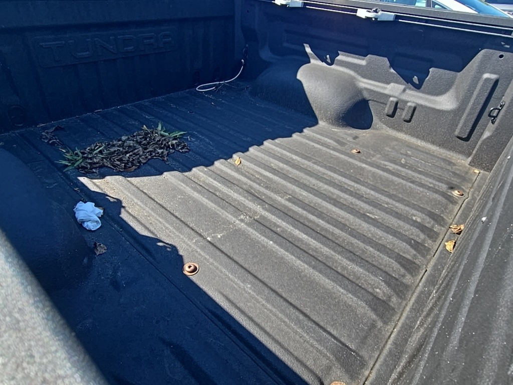 2020 Toyota Tundra Limited Grade photo 9