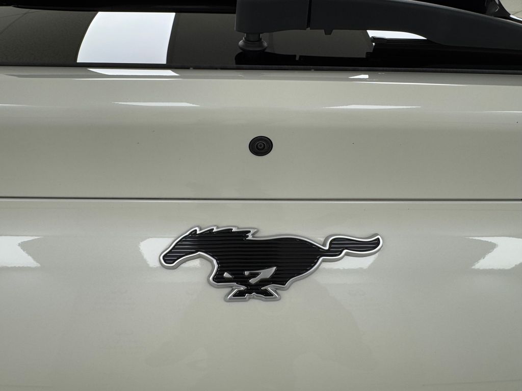 2022 Ford Mustang Mach-E Premium photo 30