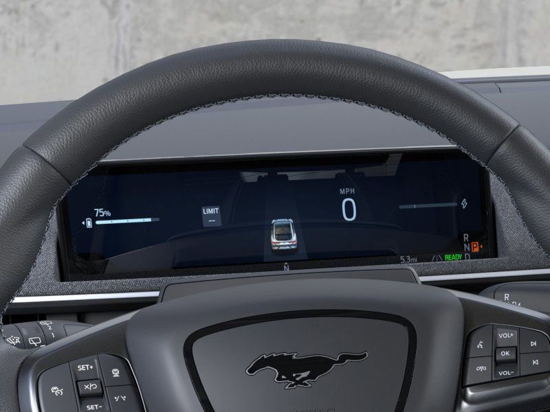 2025 Ford Mustang Mach-E GT photo 13