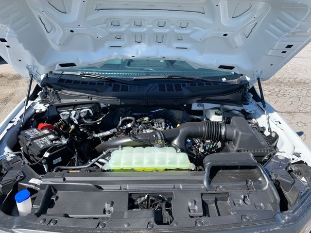 2025 Ford F-150 XL photo 9