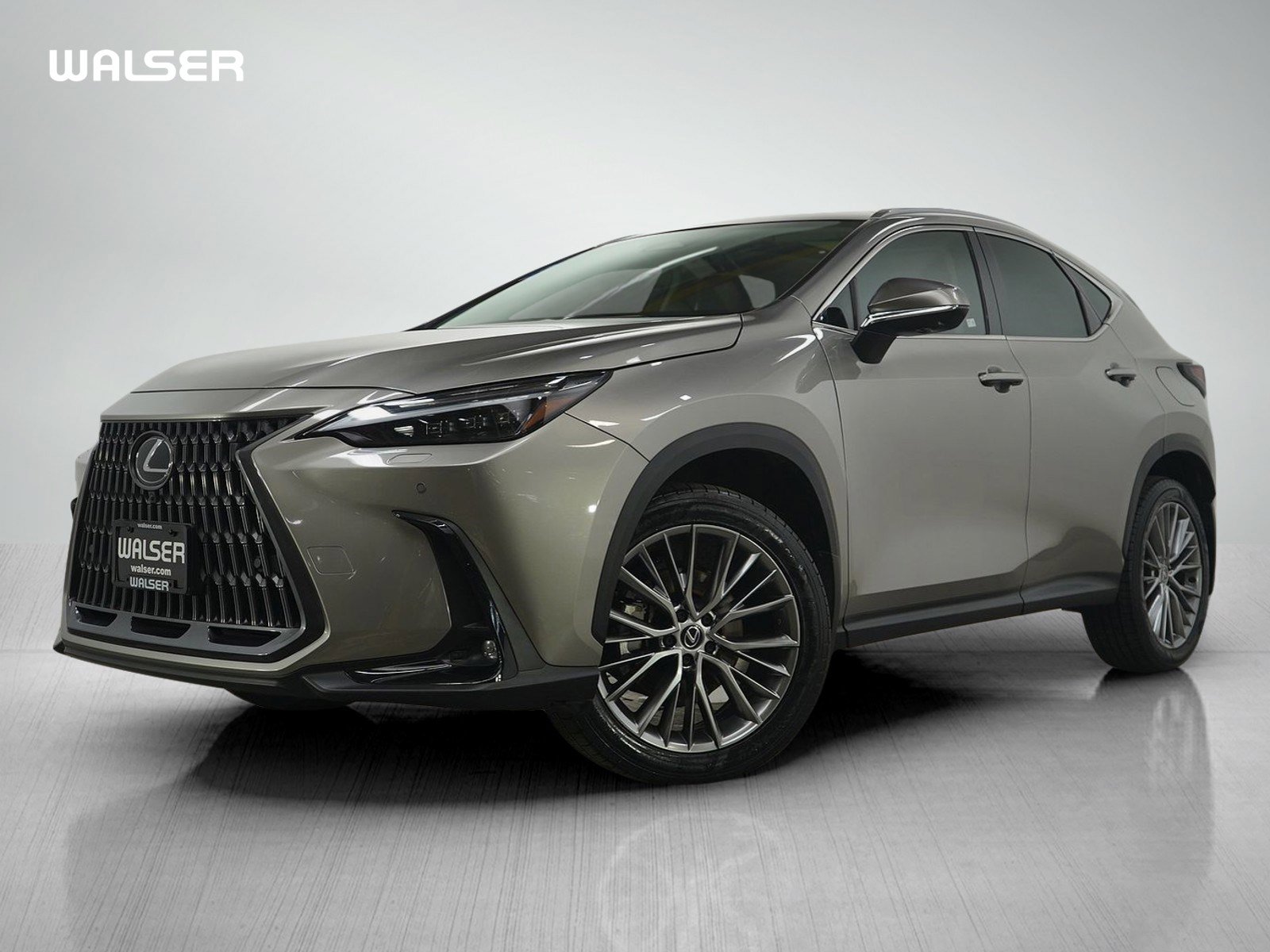2024 Lexus NX 350's photo