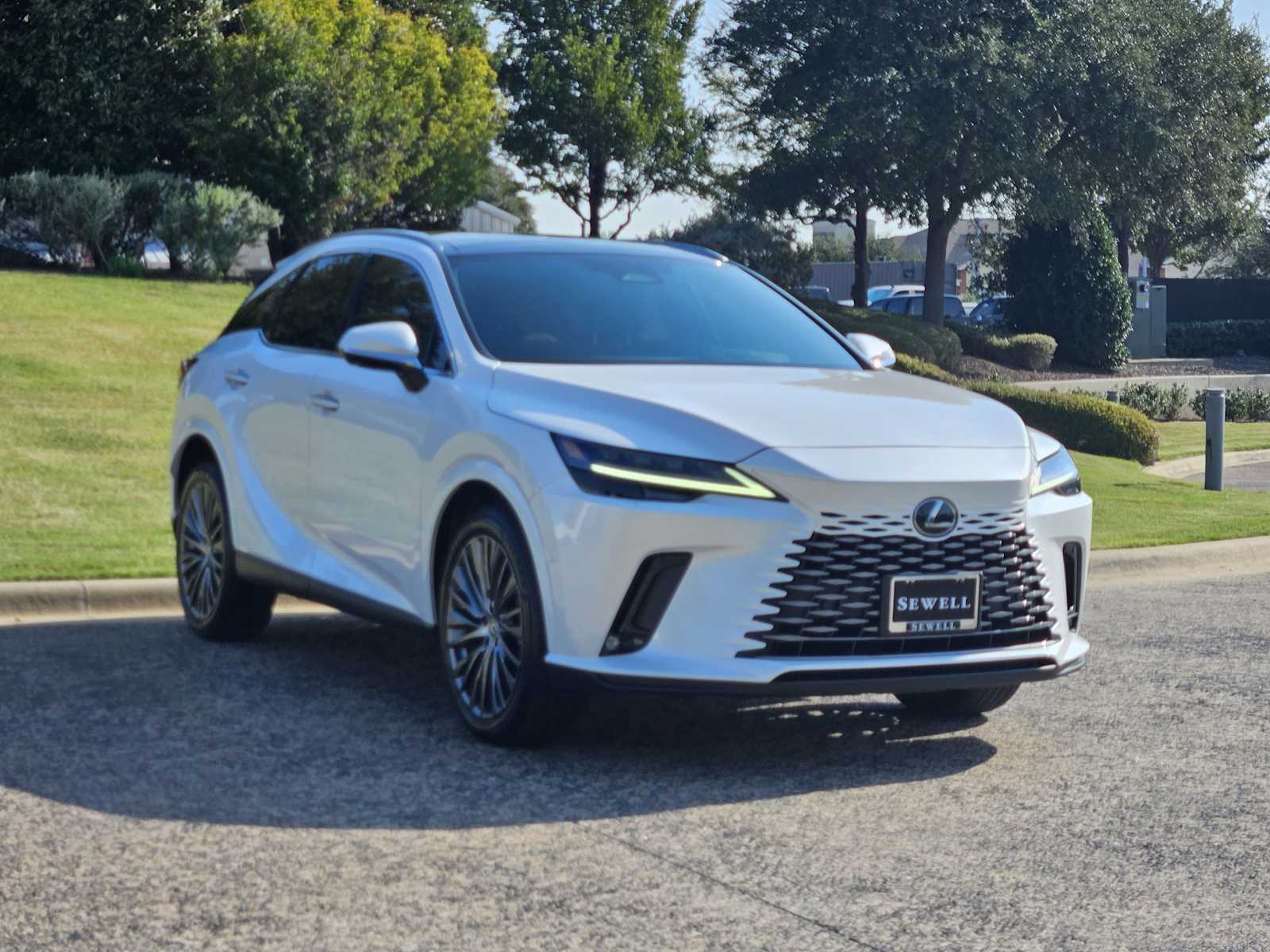 2023 Lexus RX 350 Luxury photo 2