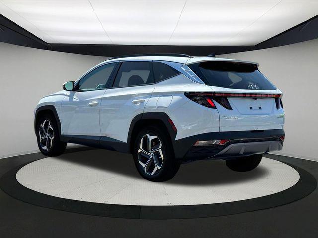 2024 Hyundai Tucson Hybrid Limited photo 5