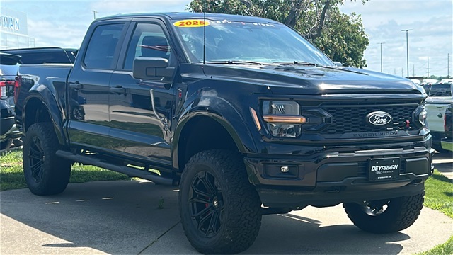 2025 Ford F-150 STX's photo