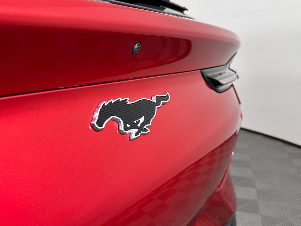 2021 Ford Mustang Mach-E Premium photo 10