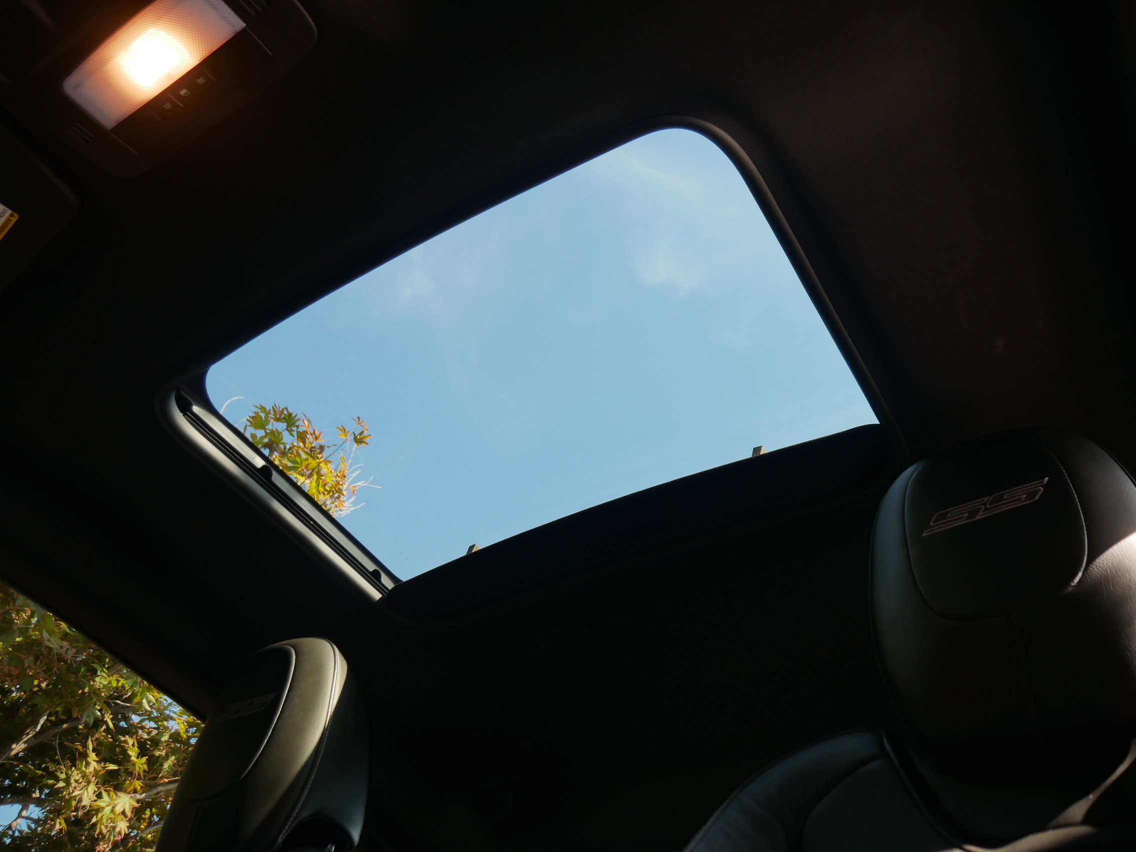 View 5