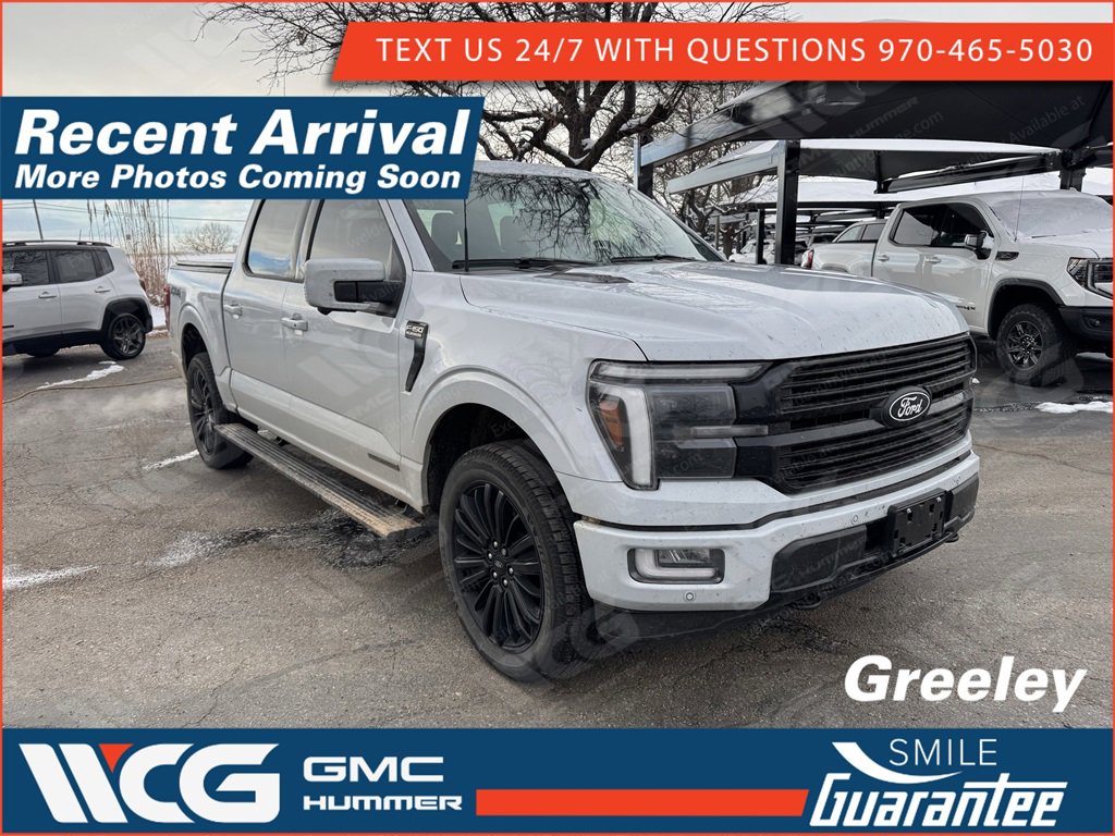 2025 Ford F-150 Platinum's photo