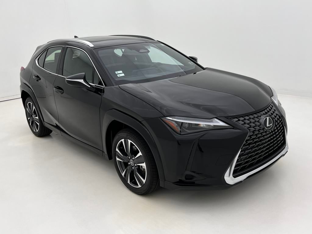 2025 Lexus UX Premium photo 2