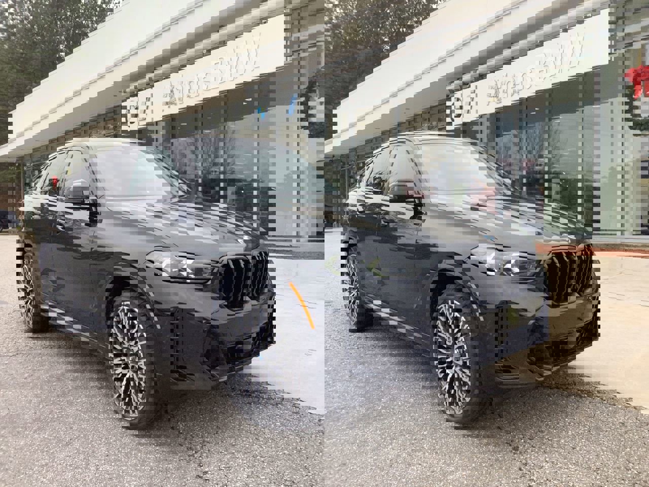 2026 BMW X6 40i's photo