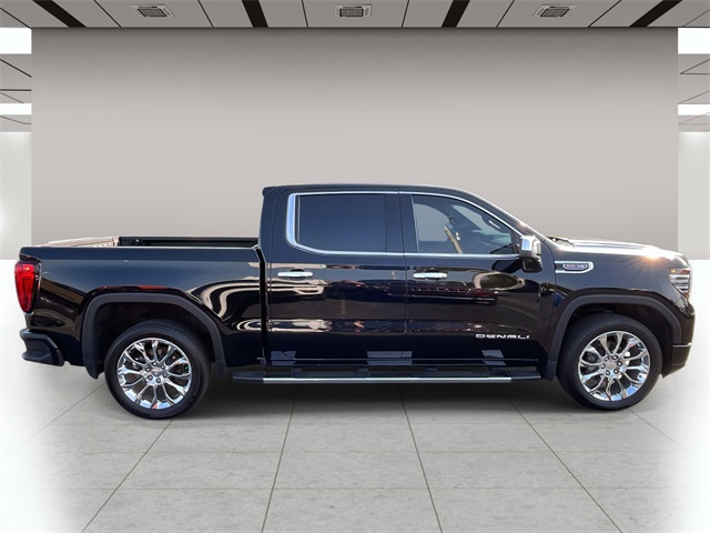 2023 Gmc Sierra 1500 Denali photo 2